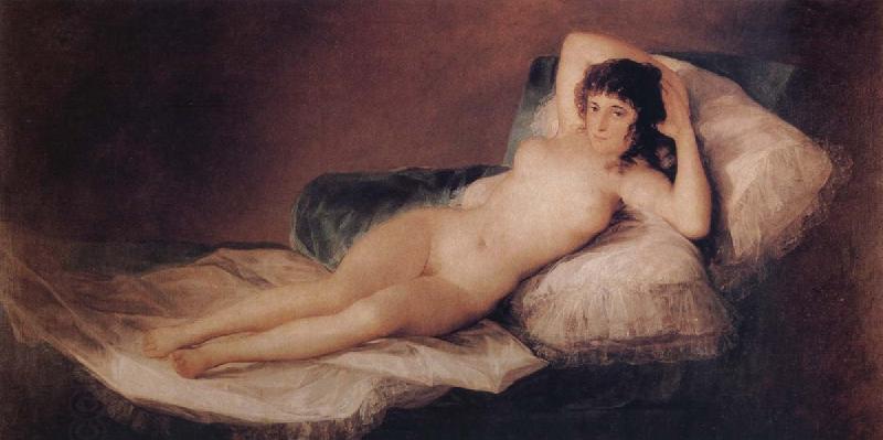 Francisco Jose de Goya The Naked Maja China oil painting art